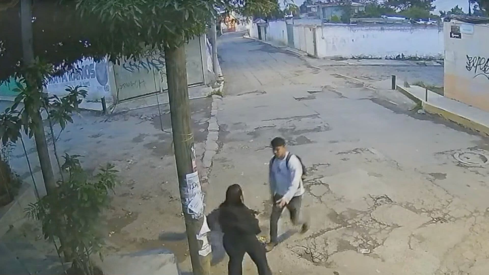 Video: Sujeto Asaltó a Mujer mientras Esperaba el Transporte Público en Amozoc, Puebla