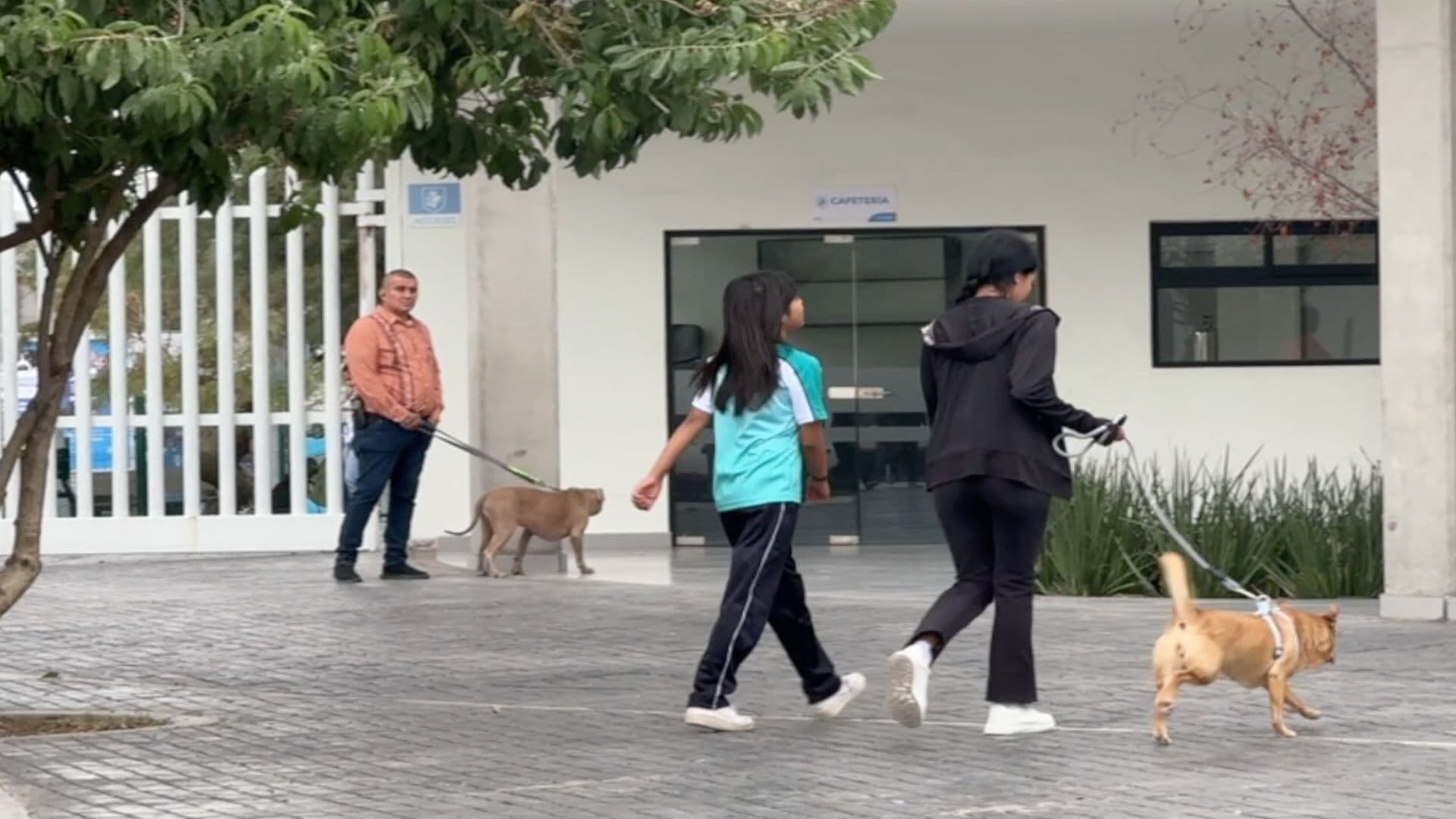 Video