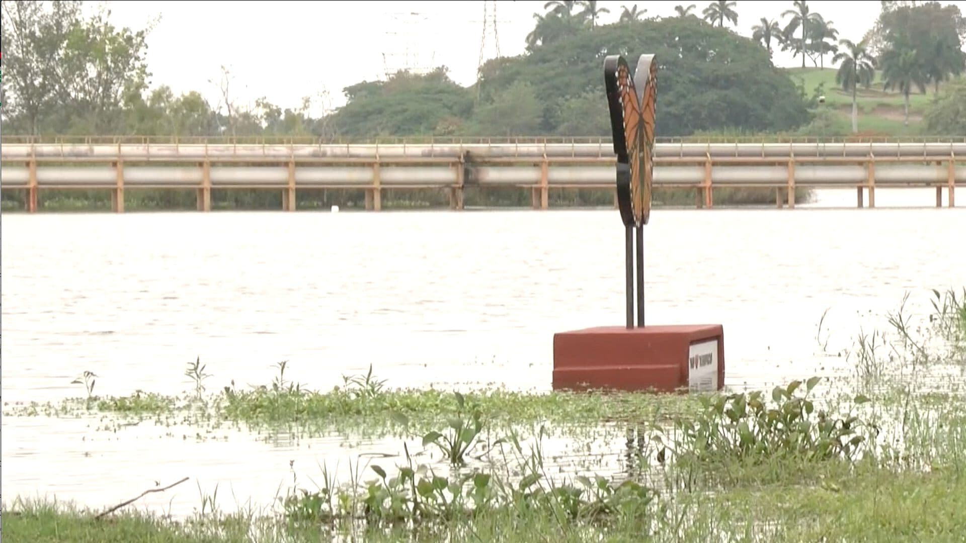 Abren Compuertas para Disminuir Nivel del Agua en Laguna del Chairel en Tampico
