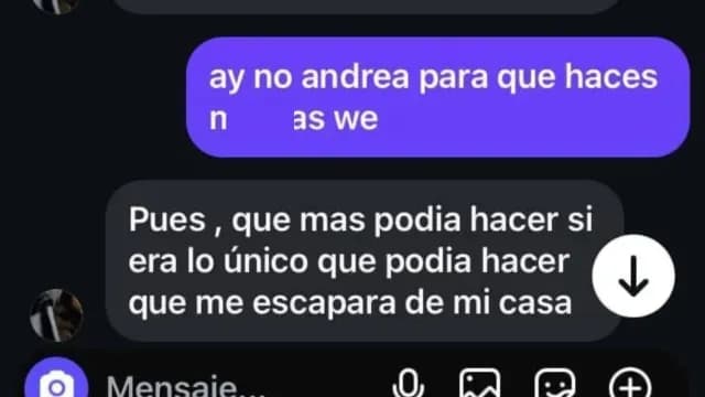 Filtran supuesta conversación de Andrea "N" en redes sociales. Foto:X @ciudadano_pue