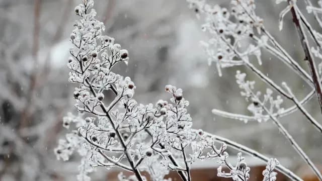 Foto: AP