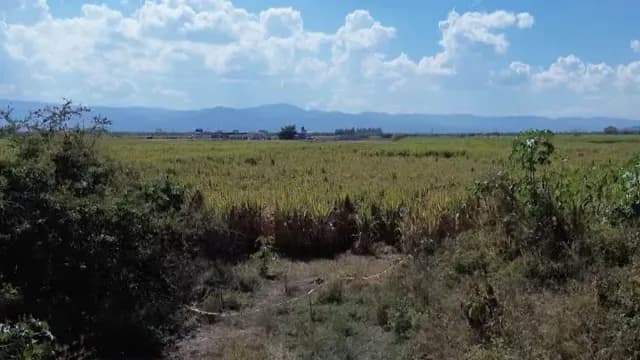 Localizan restos óseos en sembradíos de Acatlán de Juárez