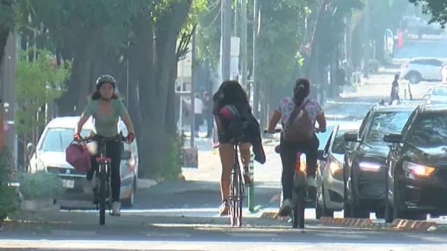 Pueden alcanzar 35 km por hora