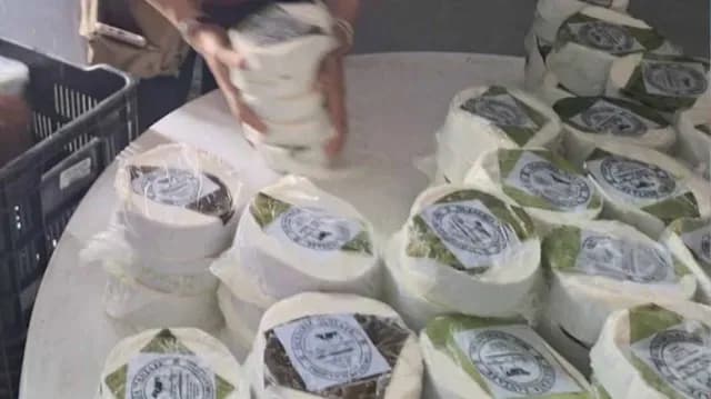 Autoridades Retiran Quesos en Mal Estado en Tamaulipas