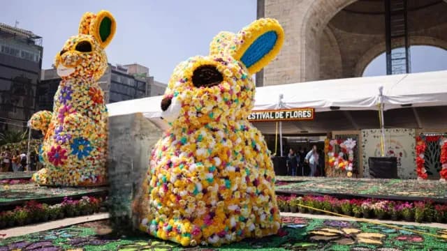 Así Será Festival de las Flores de Primavera 2026 en CDMX