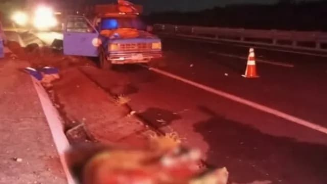 Caballo sale proyectado y muere tras accidente en autopista. Foto: X @ciudadano_pue