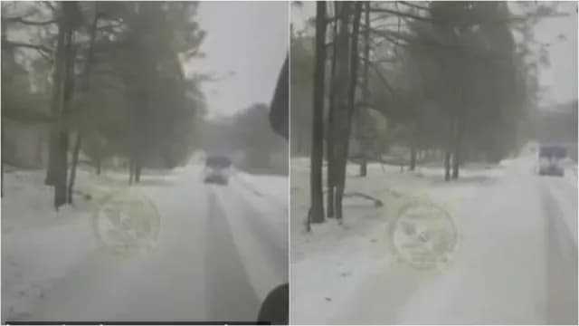 Cae nieve en el Nayar