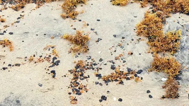 Hidrocarburo en Playa Miramar Afecta Zonas de Pesca Fundadores y Tildillos