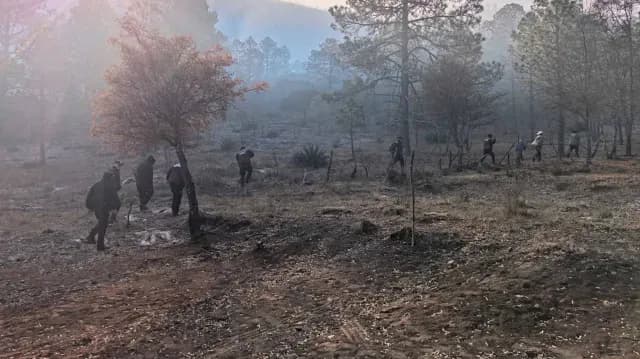 Plan Tamaulipas es Activado por Incendio Forestal en Miquihuana