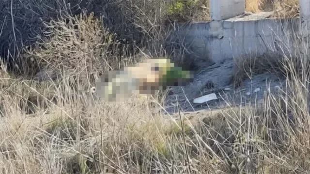 La víctima fue abandonada encobijada en San Pedro Chpaulco. Policías acordonaron en inmediaciones del Puente Aguacates. Foto: Carolina Rivera