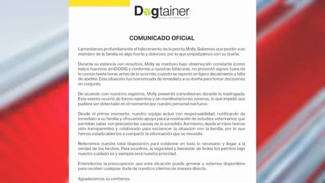 Comunicado del Hotel Canino Sobre la Muerte de la Perrita Molly. Foto: Dogtainer
