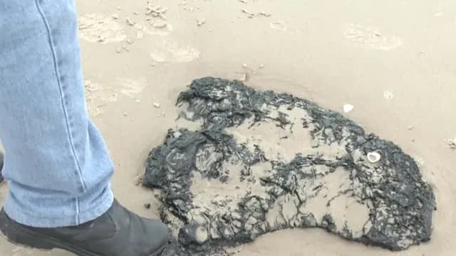 Detectan Restos de Hidrocarburo en la Isla del Padre Sur