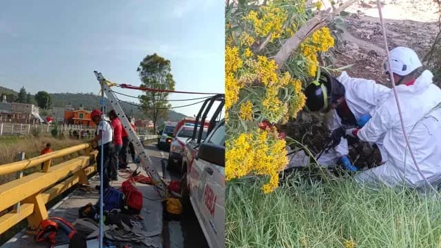 Labores de rescate de un cuerpo sin vida en Flor del Bosque. Foto: PC Estatal