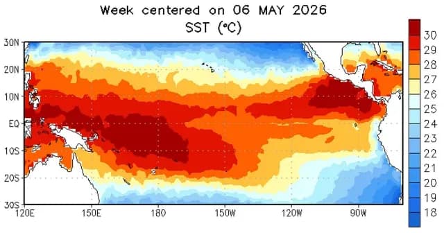 Anomalías de la temperatura relativa de la superficie del océano el 6 de mayo 2026. Foto: NOAA