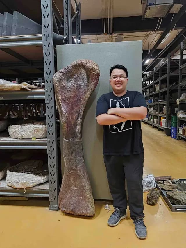 Hueso del dinosaurio gigante. Foto: Reuters