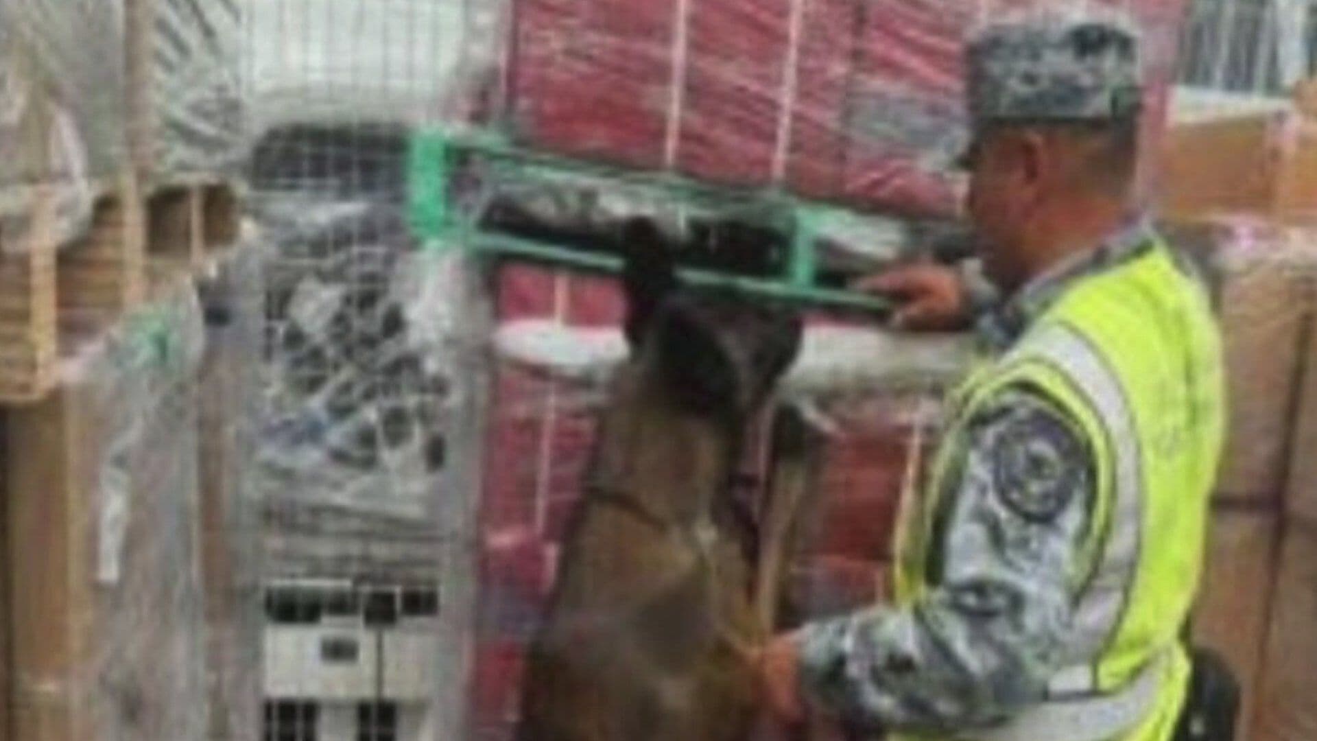 Decomisan Cargamento de 84 Mil Cigarrillos Apócrifos en el Aeropuerto Felipe Ángeles, Edomex