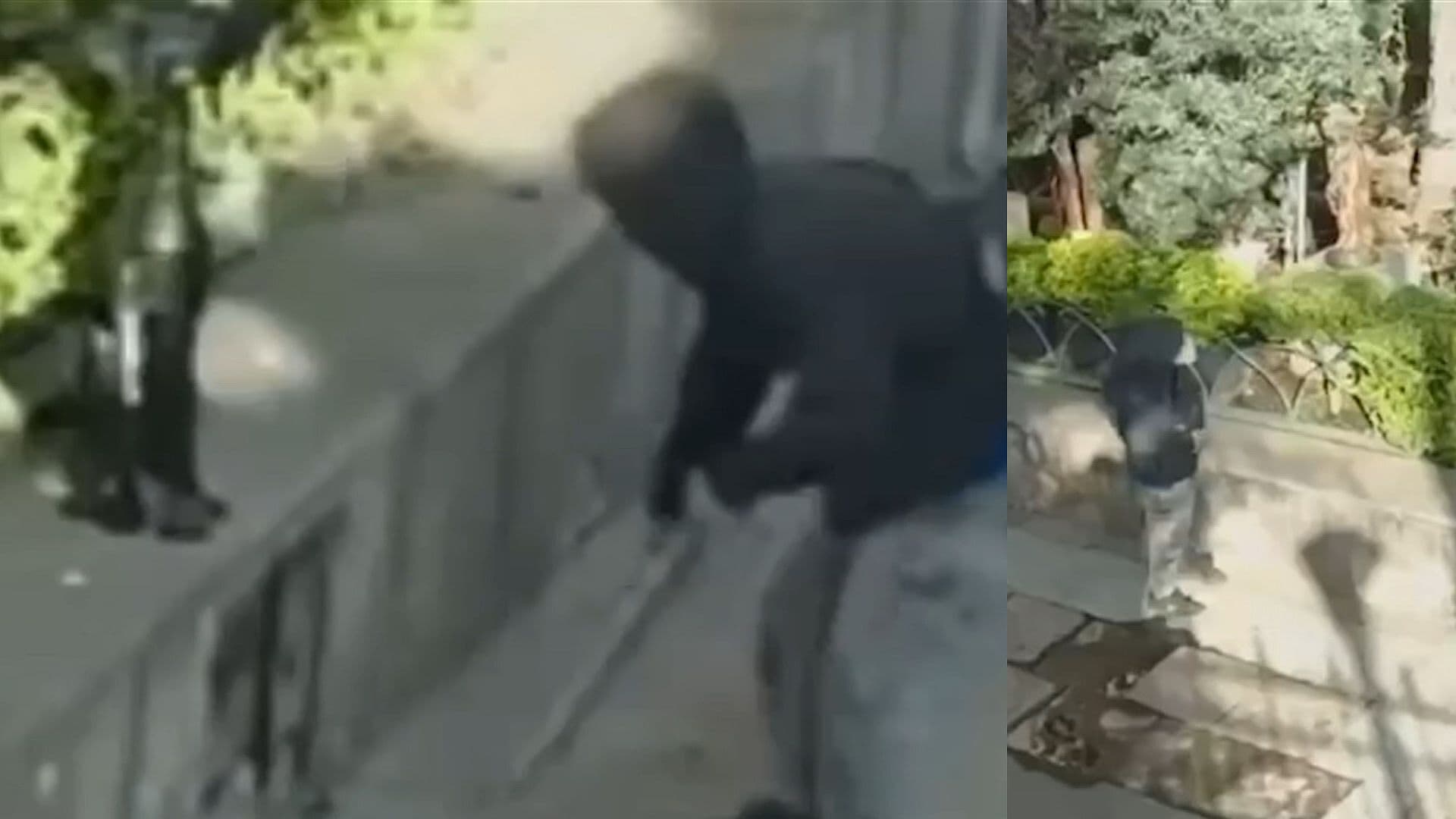 VIDEO | Así Fue el Robo de Esculturas de Iglesia de San Cosme en CDMX