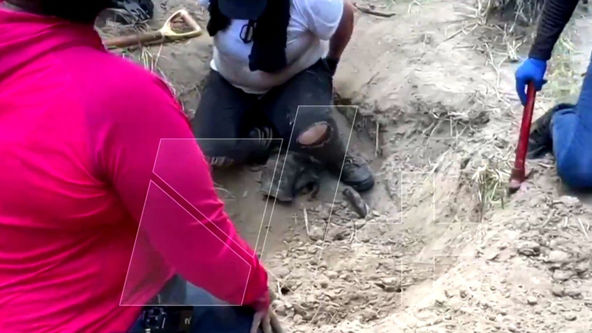 Hallan Restos de al Menos Siete Personas en Fosas de Miguel Alemán, Tamaulipas