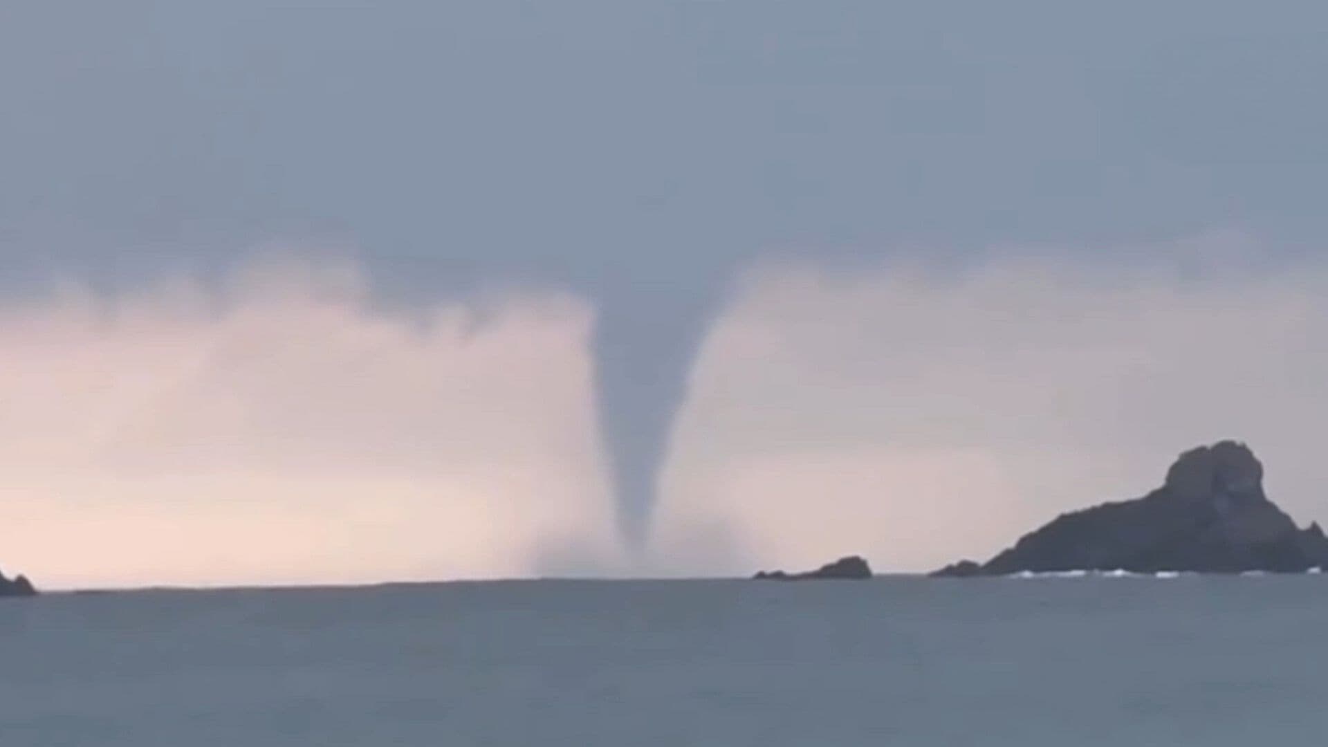 VIDEO | Captan Enorme Culebra de Agua en Cihuatlán, Jalisco