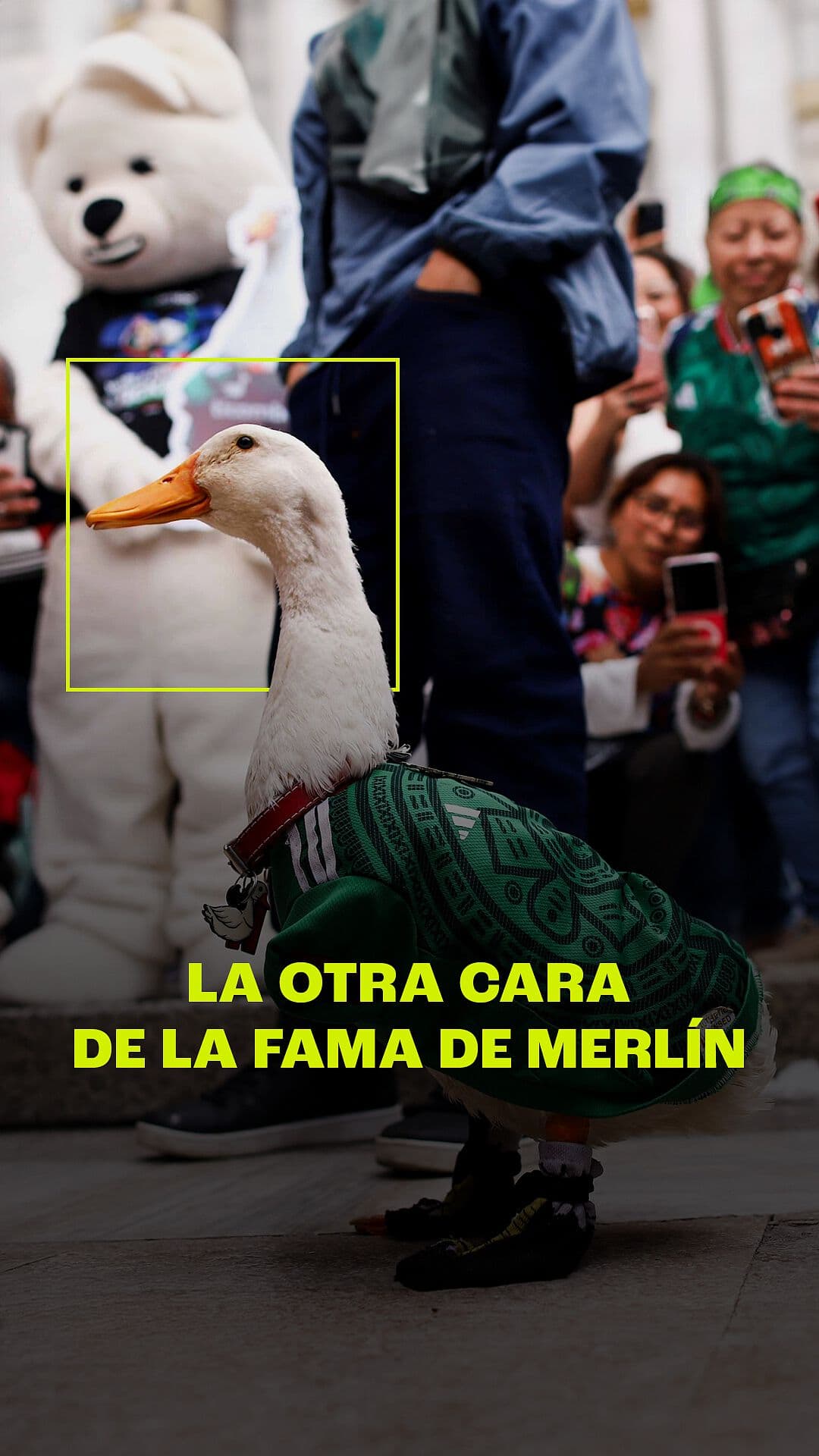 La Otra Cara de la Fama de Merlín