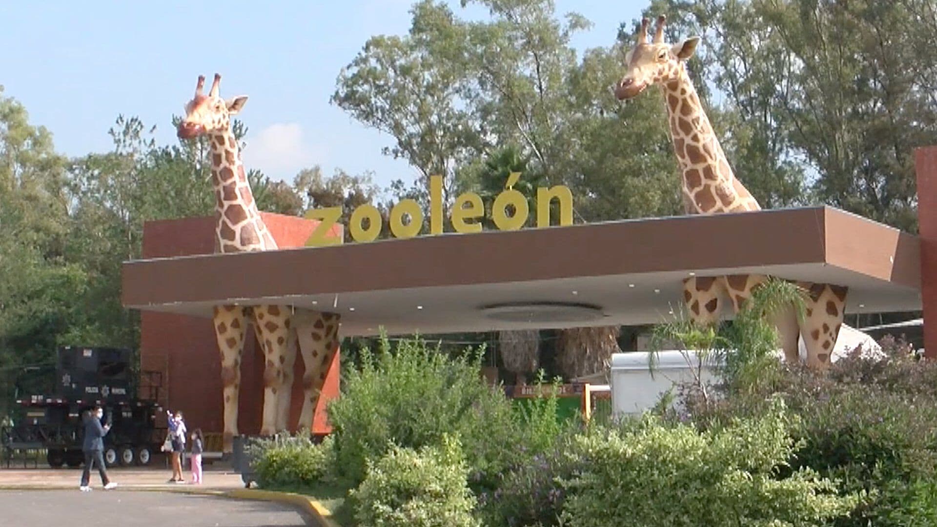 Falta de Tiempo y de Interés, la Causas de que Leoneses no Vayan al Zoológico de León