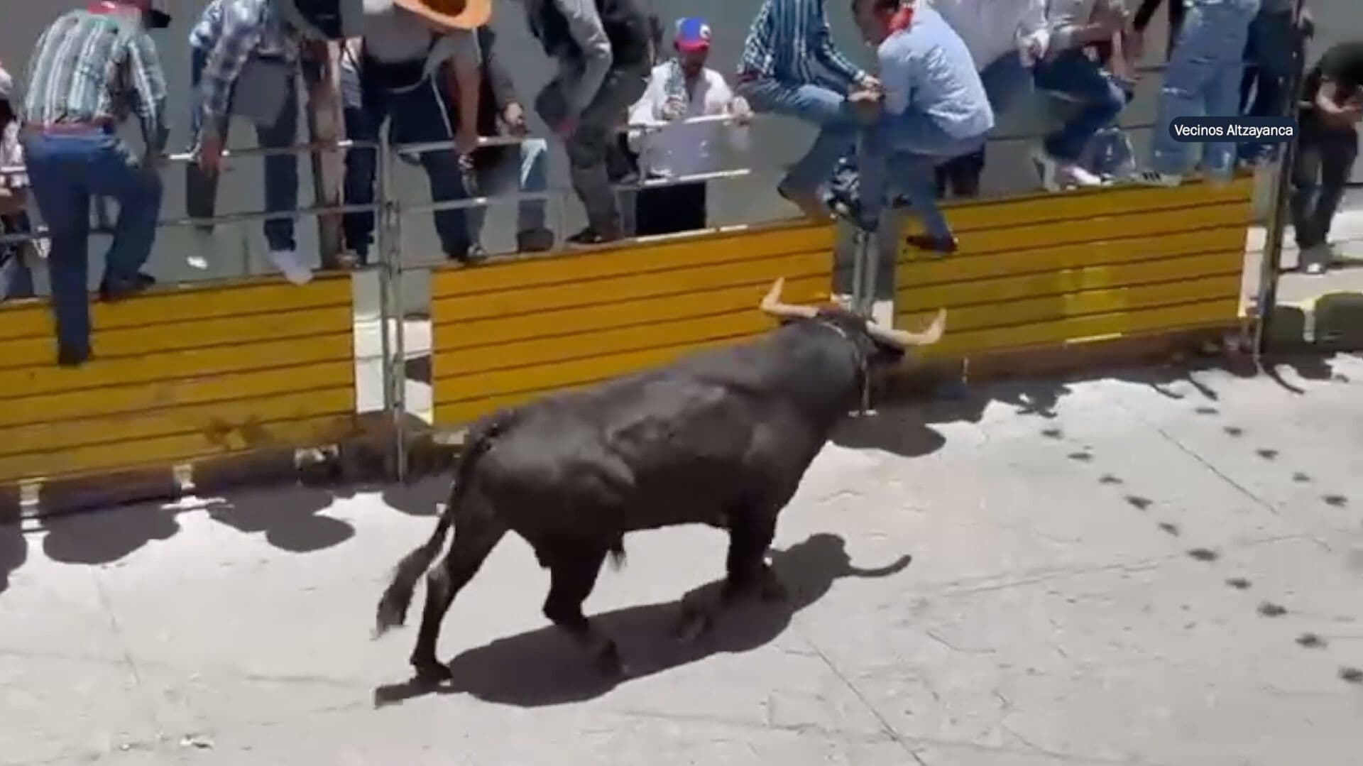 Así Embistió un Toro a un Hombre Durante Festividades Patronales en Tlaxcala