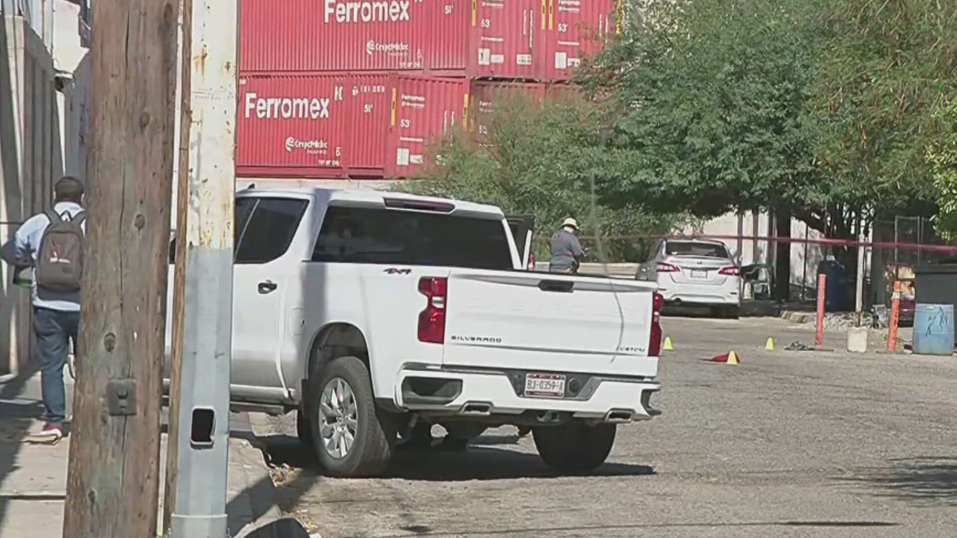 Mujer Muere Tras Ser Atacada por Una Jauría; Detienen a su Hermano, Dueño de los Perros