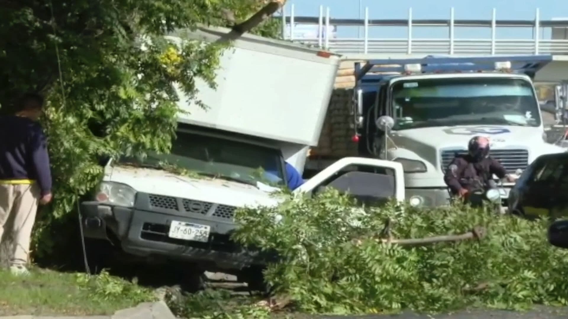 Camioneta se Queda Sin Frenos al Bajar de un Puente en León; Choca Contra Árboles
