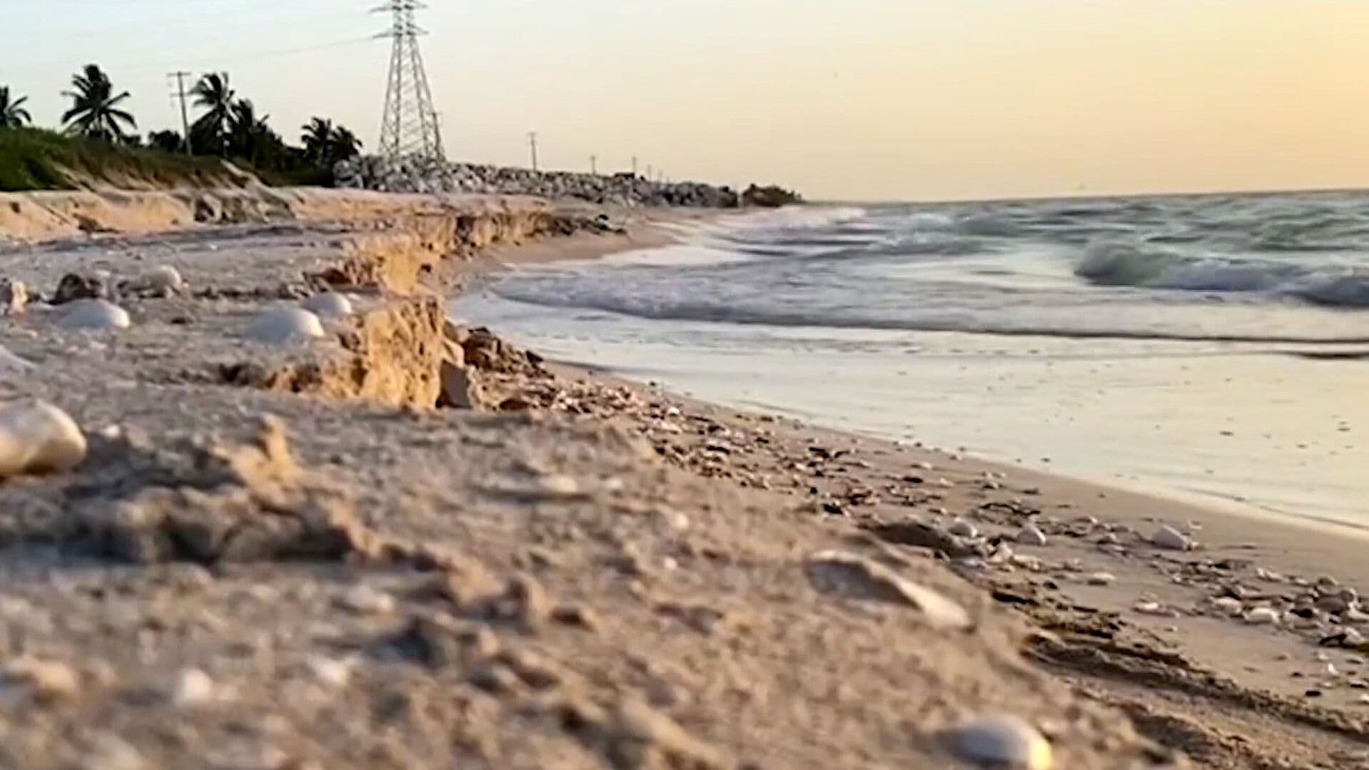Erosión Marina Amenaza Playas de Anidación de Tortugas en Campeche