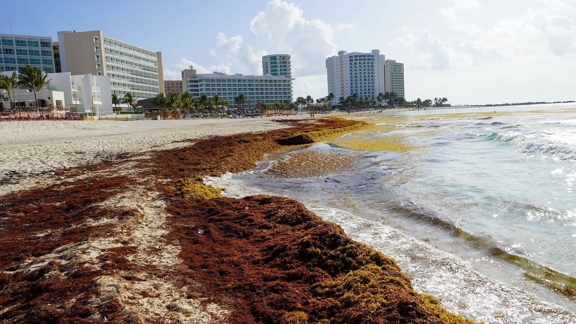 Vacaciones de Verano 2026: Playas No Aptas para Nadar