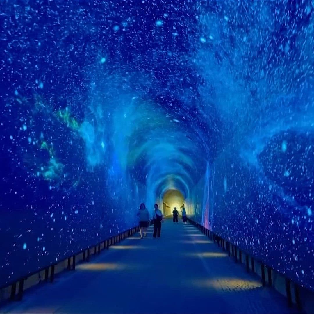 Crean en Corea del Sur Un Espacio Multimedia Único Dentro de Un Túnel de Ferrocarril