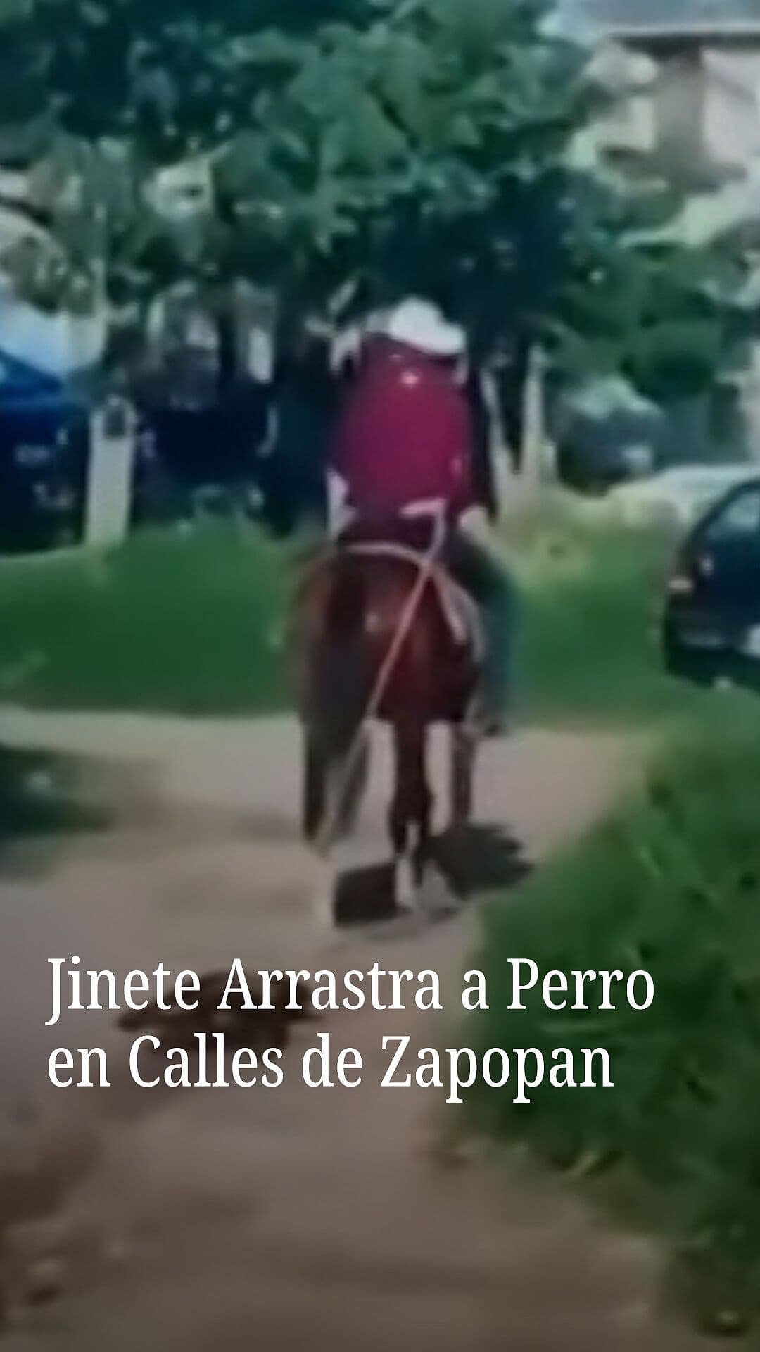 Jinete Arrastra a Perro en Calles de Zapopan