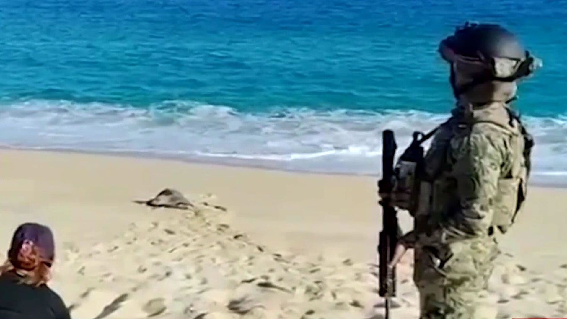 Recuperan 10 Mil Huevos de Tortuga Golfina Tras Arribo de 140 Ejemplares en BCS