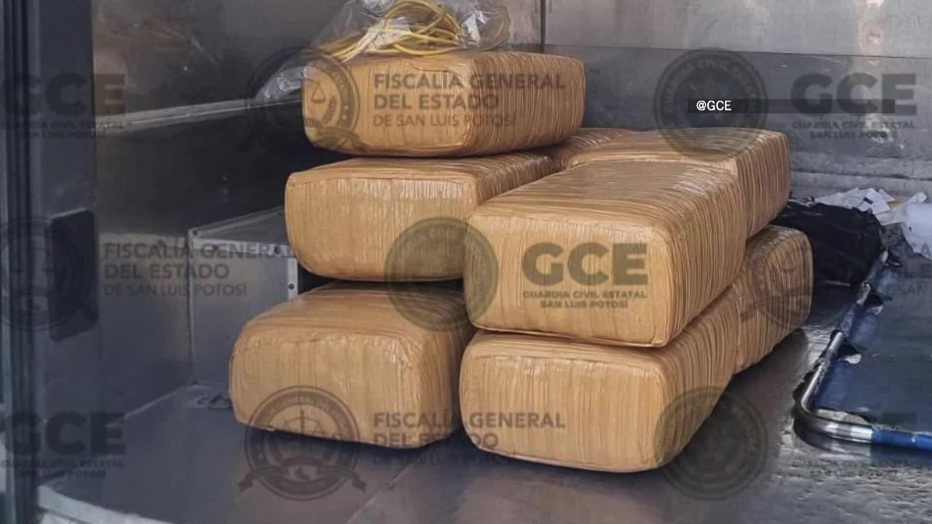Aseguran Más de 80 Kilos de Marihuana en Cateo en la Colonia Sausalito en SLP
