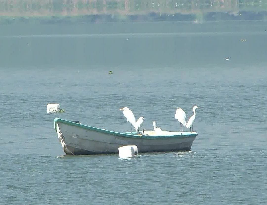 Pescadores de Cajititlán Reciben Subsidio de 65 Mil Pesos ante Disminución de Actividad