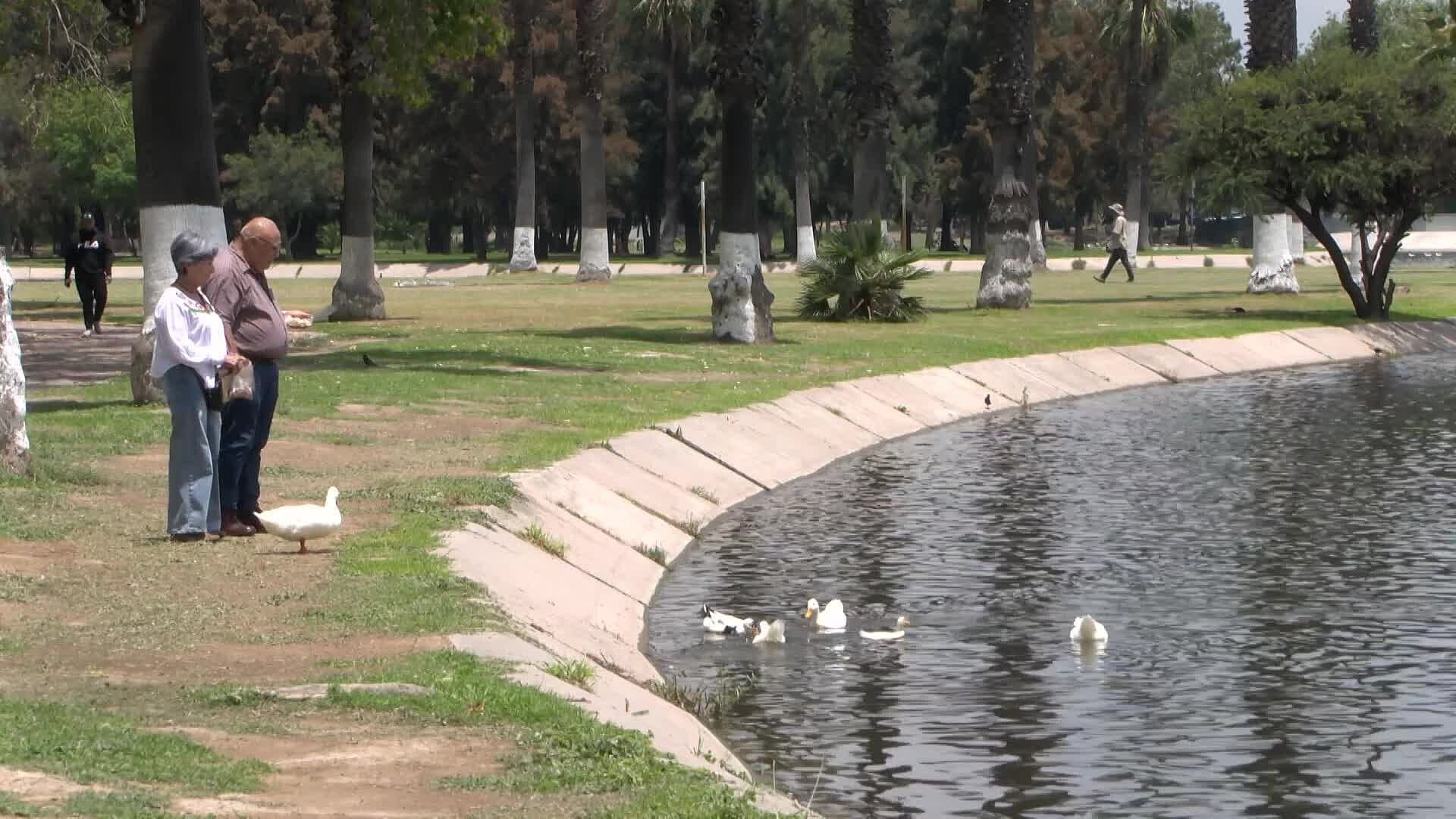 Nueva Dirección de Parques Tangamanga Detecta Áreas Descuidas por las Lluvias en SLP