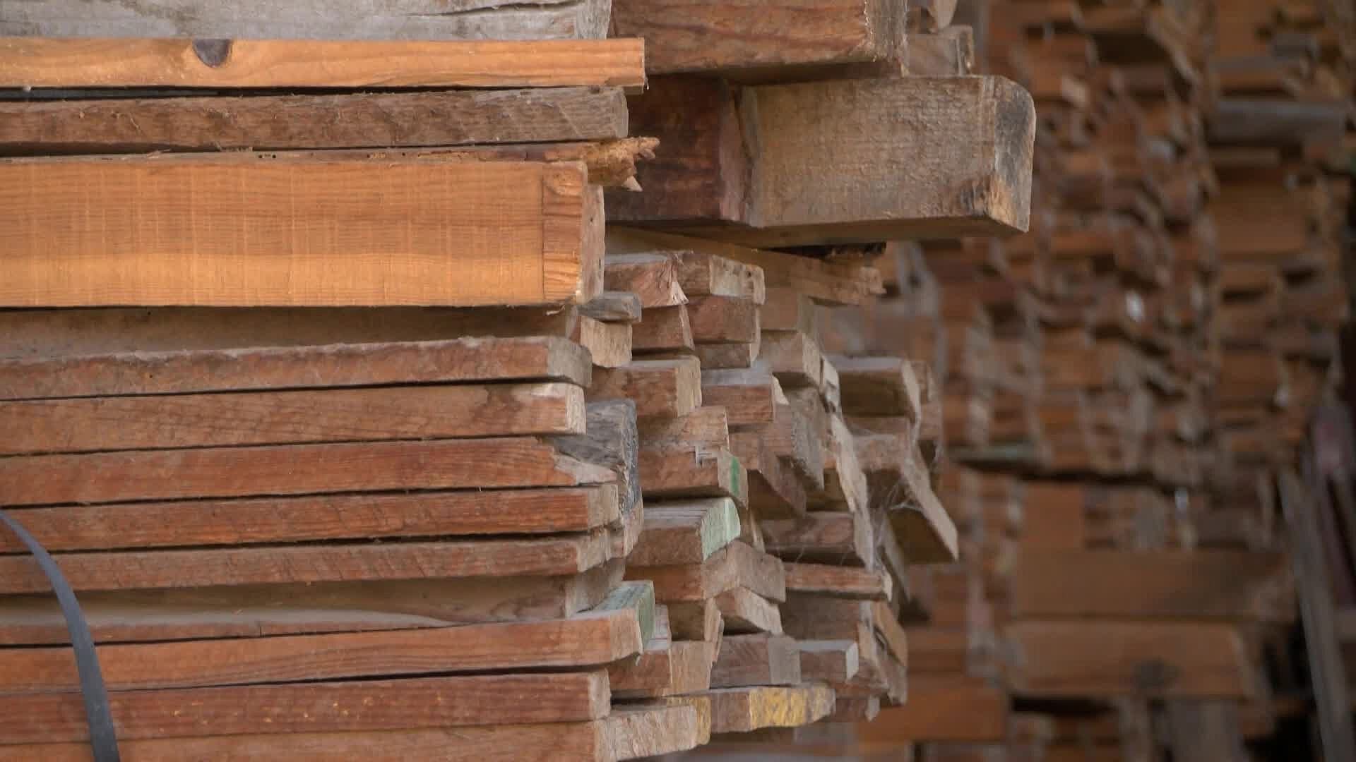 Querétaro No Produce Madera y Depende de Otros Estados, Reconoce la Industria