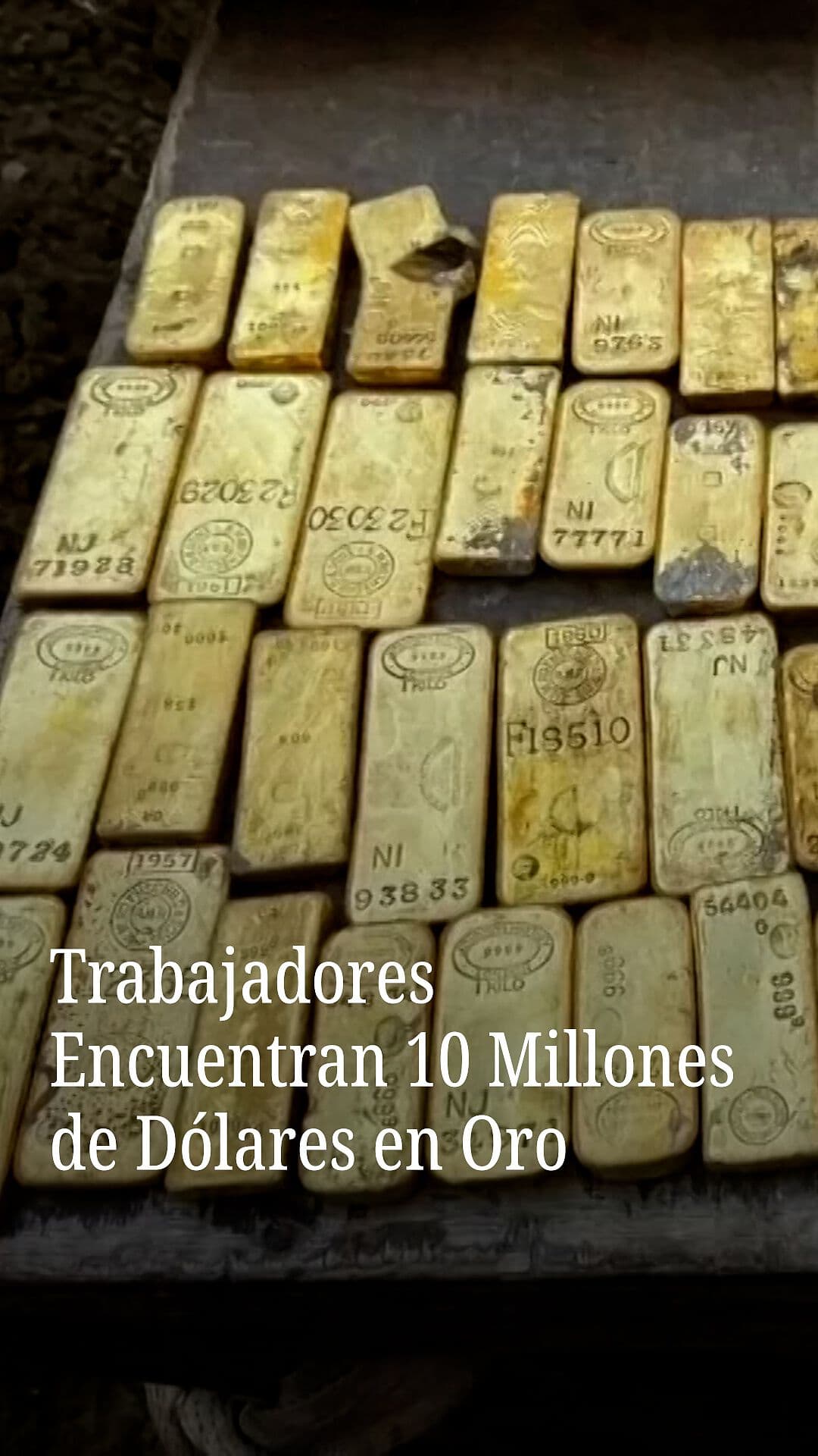 Trabajadores Encuentran 10 Millones de Dólares en Oro