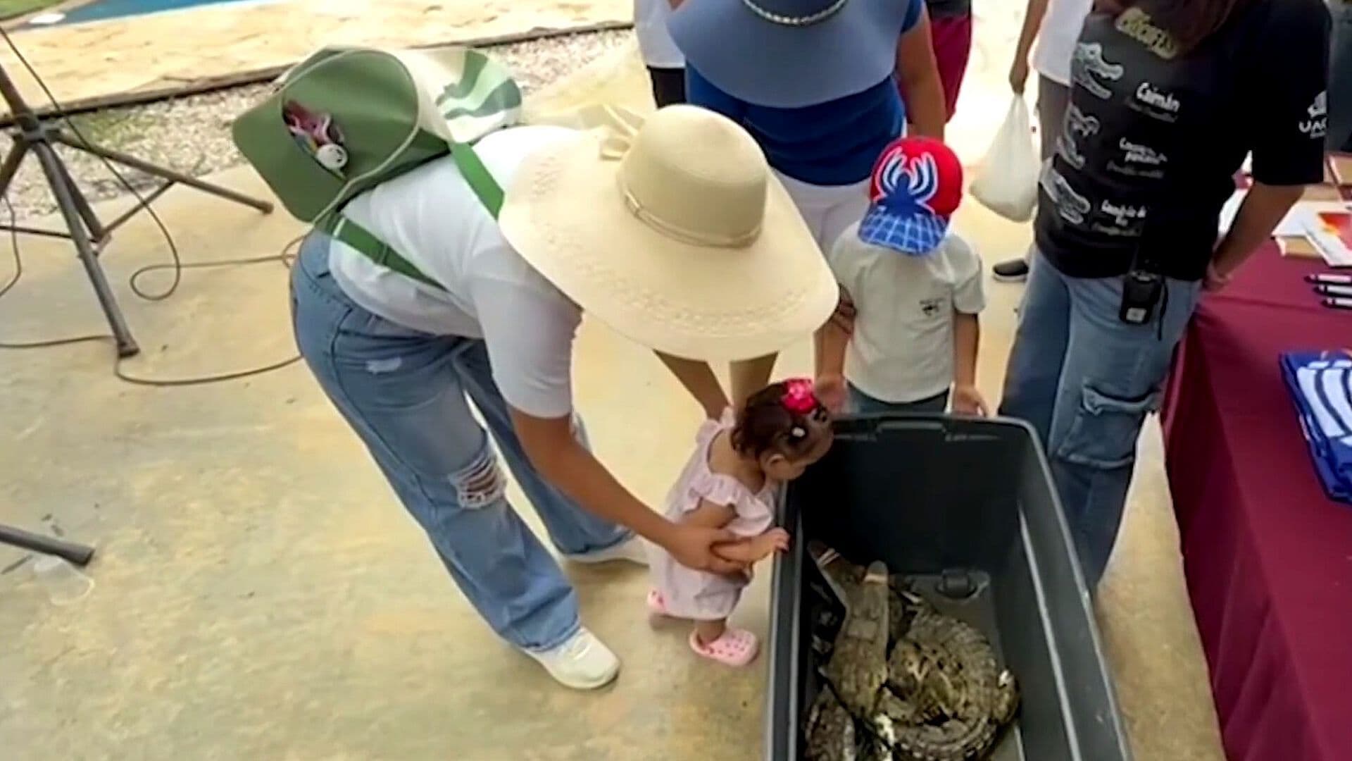 Croco Fest Acerca a Familias al Mundo de los Cocodrilos en Campeche