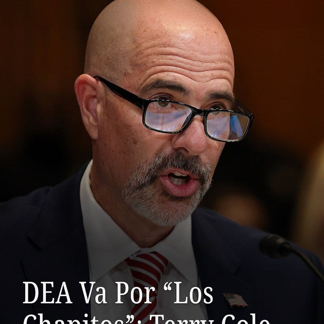 DEA Va Por 'Los Chapitos': Terry Cole