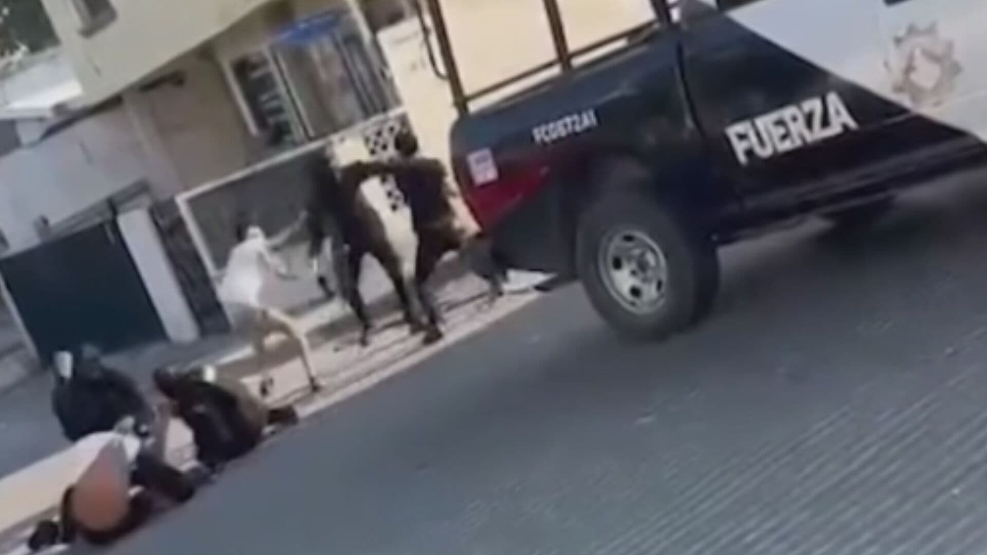 Video | Policías y Civiles se Enfrentan a Golpes en Nuevo León