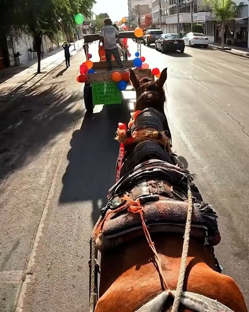 Jubilan a Caballos 'Carromateros'