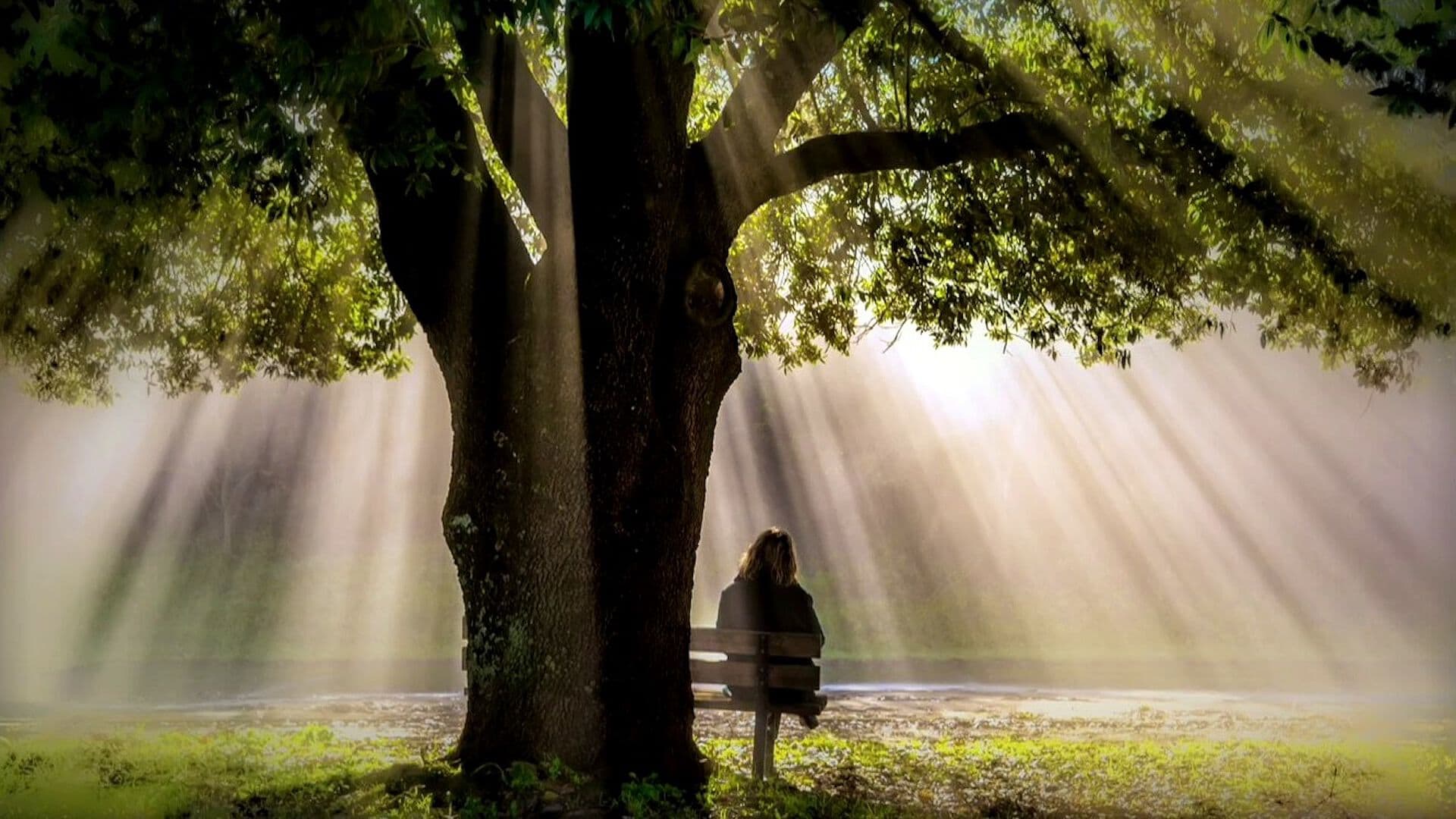 ¿Cómo Encontrar un Propósito y Dar Sentido a la Vida?