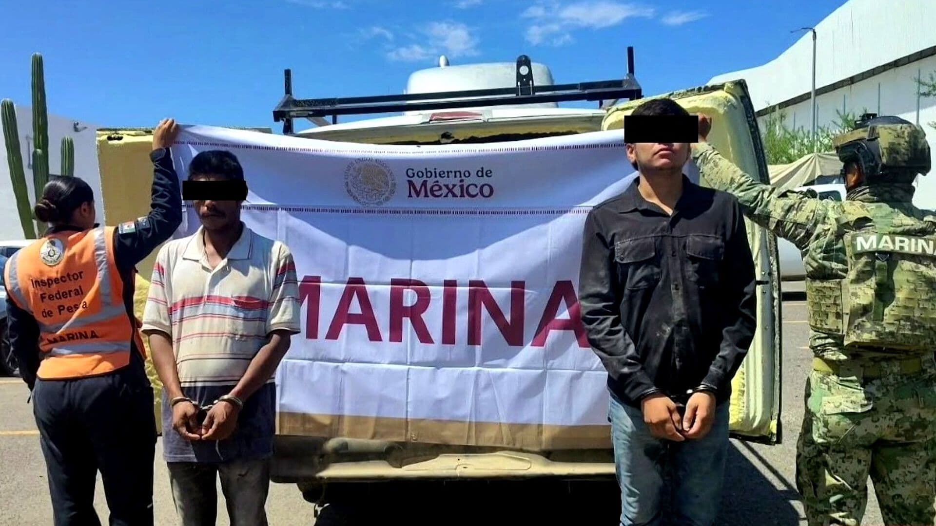 Tres Toneladas de Almeja, Municiones y Presunto Fentanilo: Detienen a Dos en La Paz