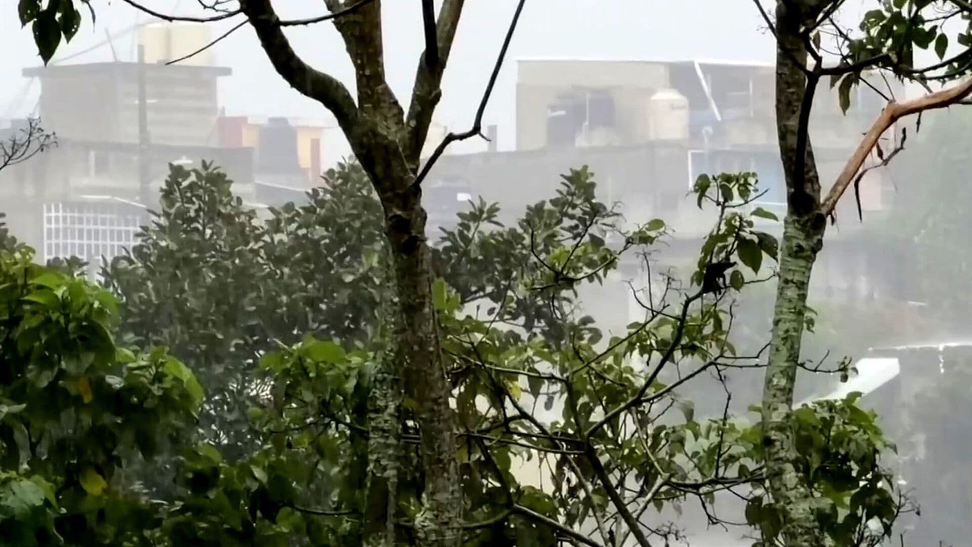 Fuerte Tormenta Inundó Calles y Dejó Personas Atrapadas en Xalapa, Veracruz