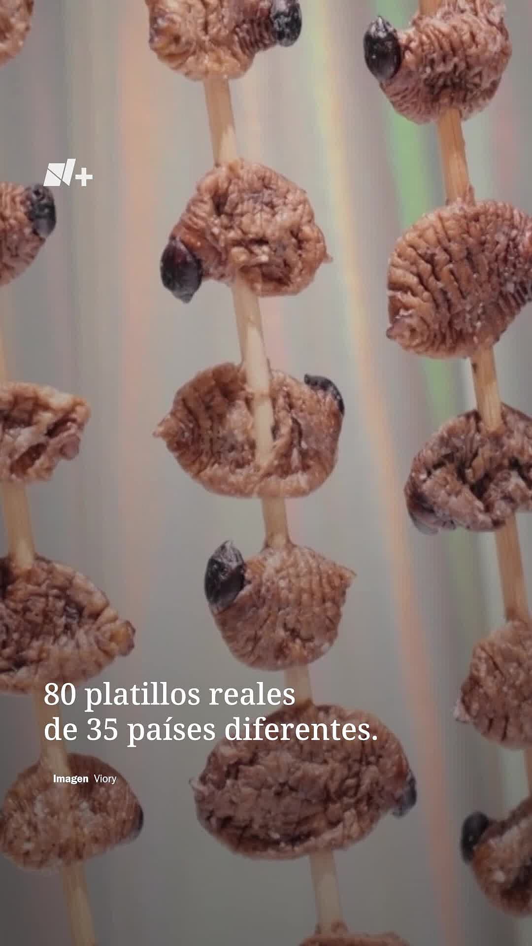 Conoce el Museo de la Comida Repugnante