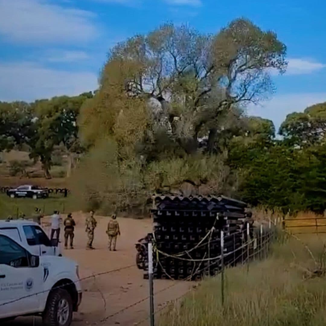 Agentes de EUA Derriban Árbol de Más de 200 Años
