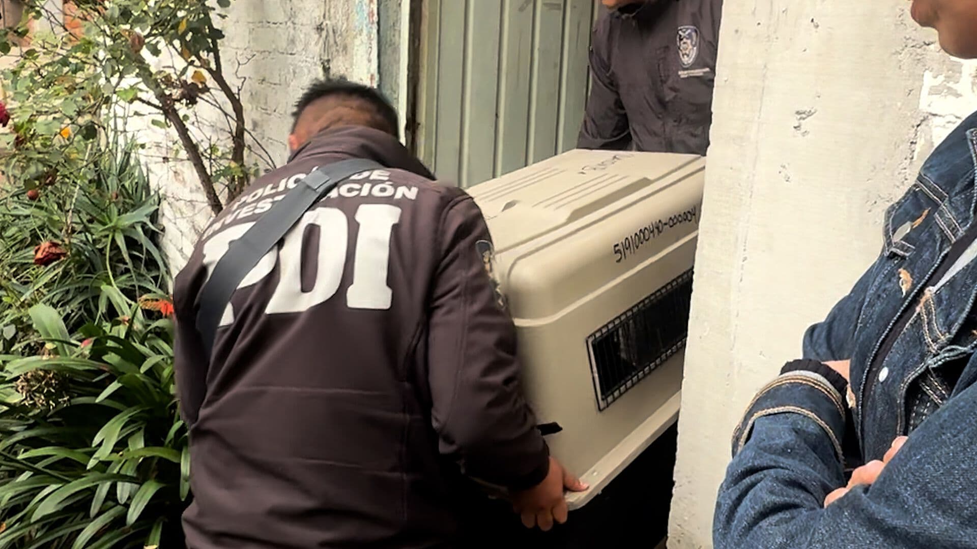 Rescatan a Animales Presuntamente Maltratados en Tlalpan