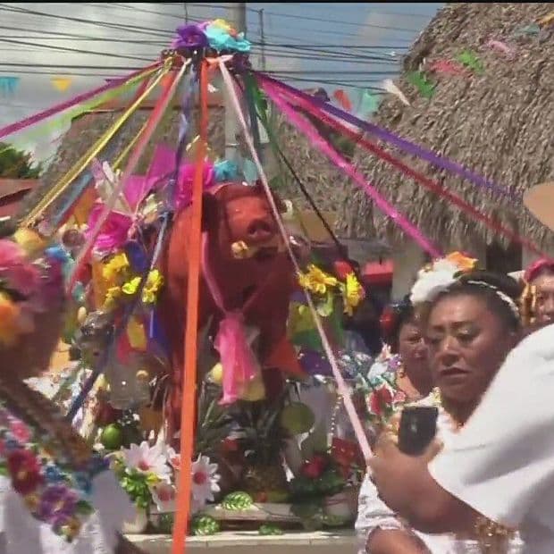 K’upol: La Tradición de Yucatán donde Bailan con un Cerdo de hasta 160 kilos
