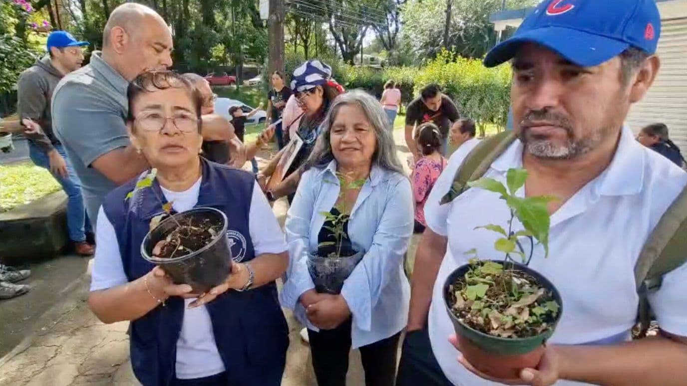 Siembran Árboles con La Esperanza de Encontrar a sus Desaparecidos en Xalapa